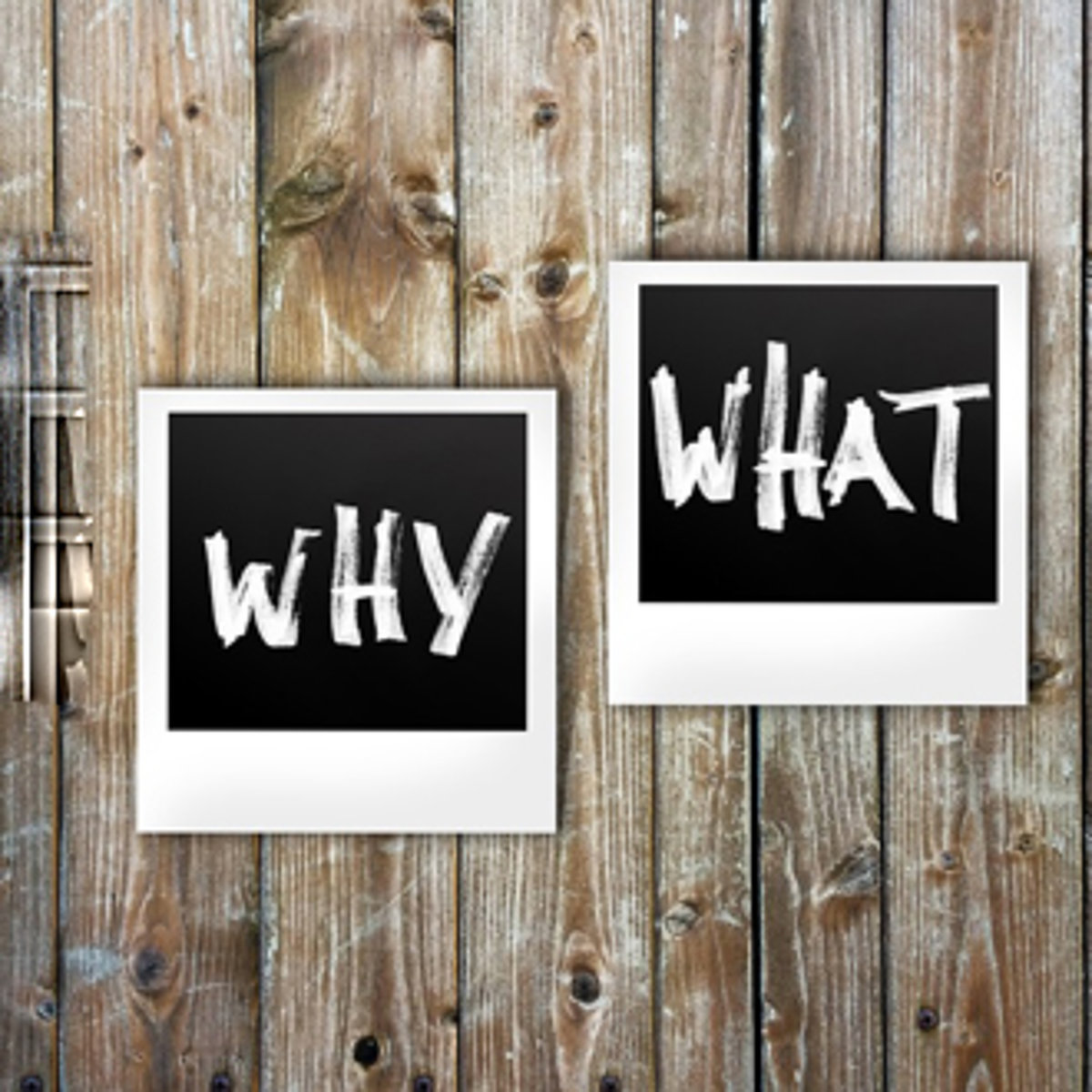 Why What Auf zwei Polaroidfotos steht jeweils "Why" und "What".